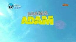 Immagine tratta da Adam & Adam